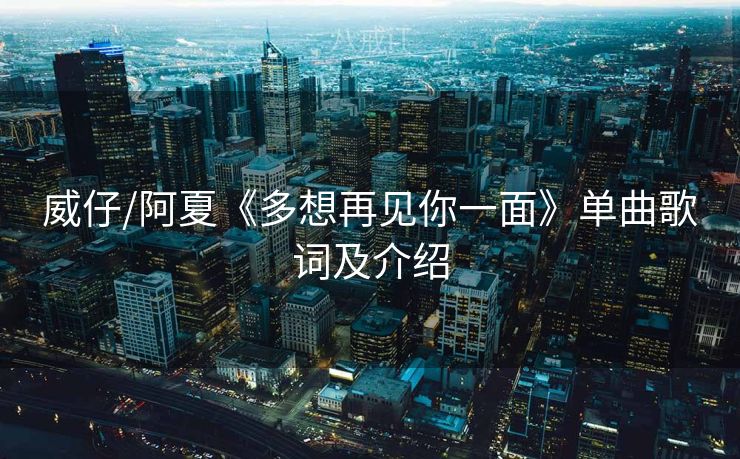 威仔/阿夏《多想再见你一面》单曲歌词及介绍