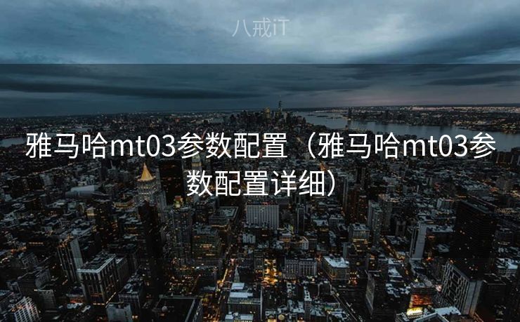 雅马哈mt03参数配置（雅马哈mt03参数配置详细）
