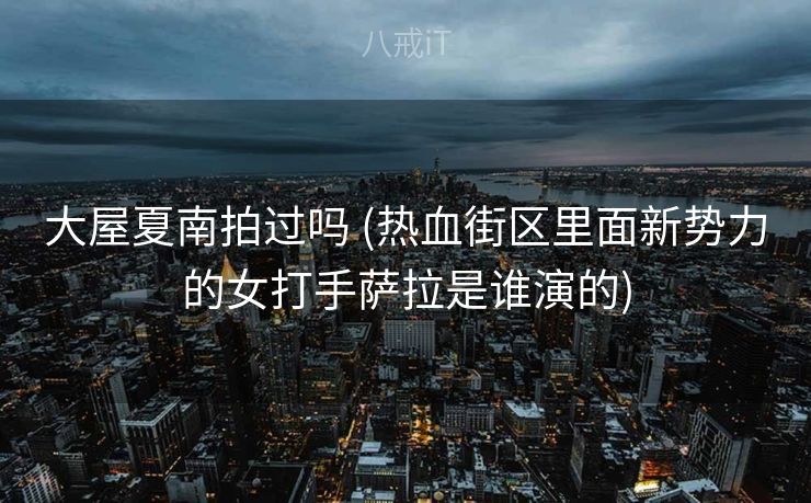 大屋夏南拍过吗 (热血街区里面新势力的女打手萨拉是谁演的)