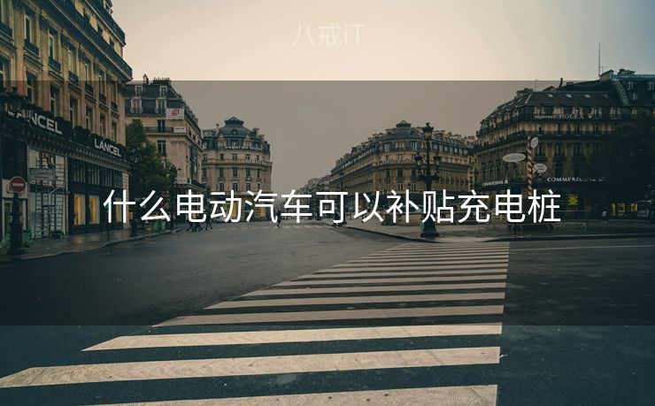  什么电动汽车可以补贴充电桩