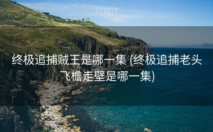 终极追捕贼王是哪一集 (终极追捕老头飞檐走壁是哪一集)