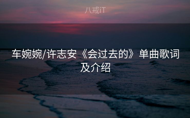车婉婉/许志安《会过去的》单曲歌词及介绍