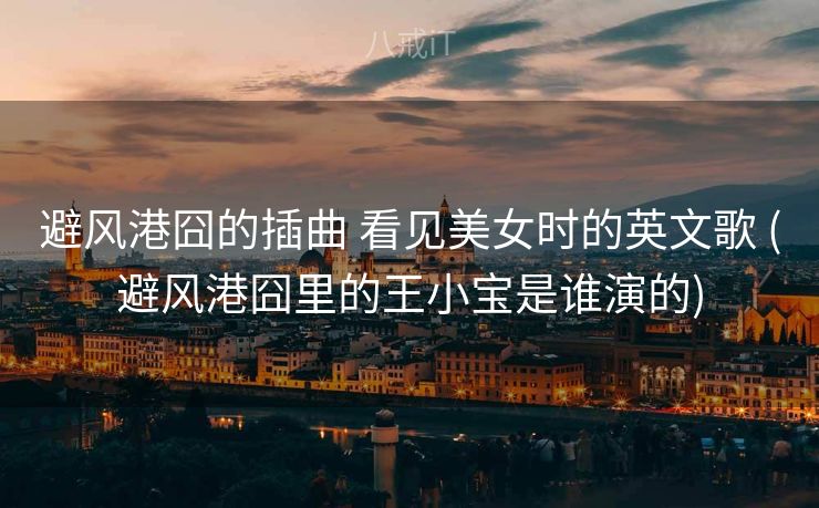 避风港囧的插曲 看见美女时的英文歌 (避风港囧里的王小宝是谁演的)