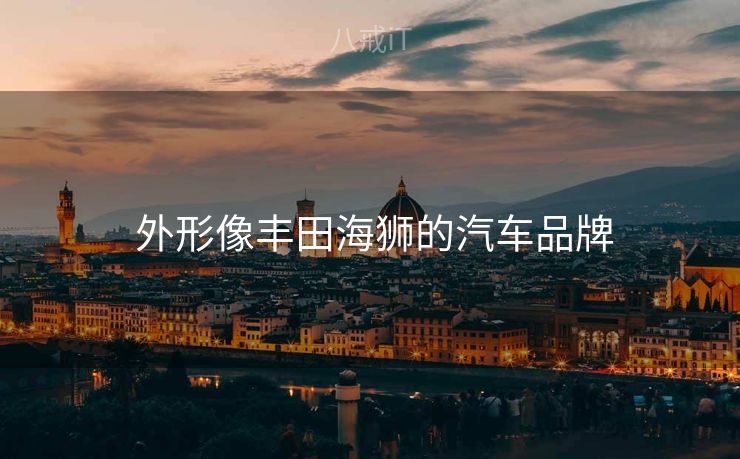  外形像丰田海狮的汽车品牌