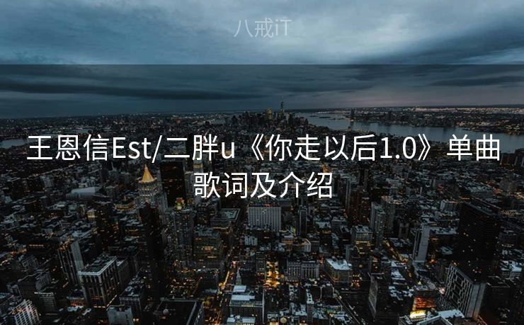 王恩信Est/二胖u《你走以后1.0》单曲歌词及介绍