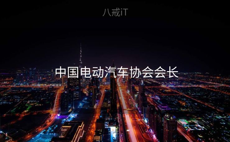  中国电动汽车协会会长