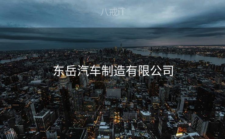 东岳汽车制造有限公司