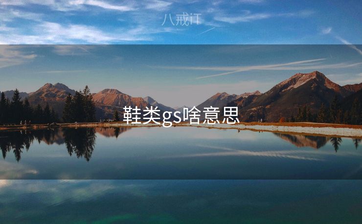 鞋类gs啥意思