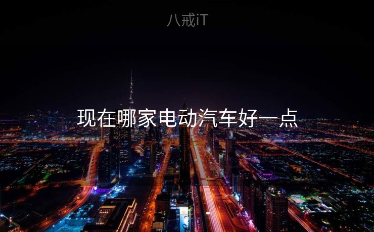 现在哪家电动汽车好一点