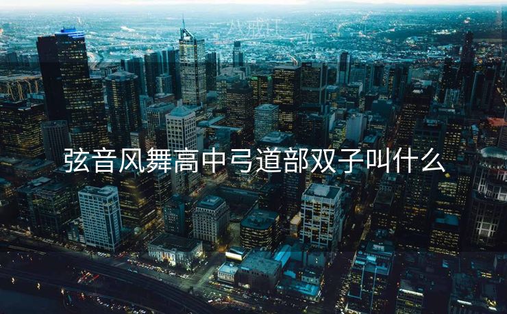 弦音风舞高中弓道部双子叫什么