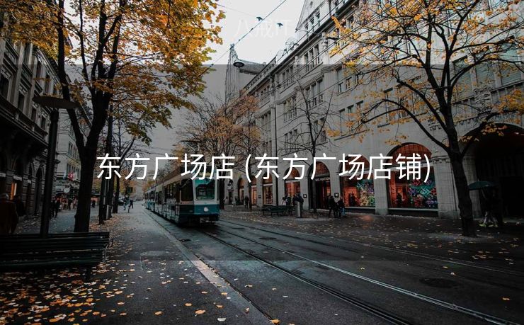 东方广场店 (东方广场店铺)