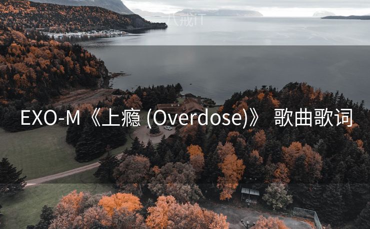 EXO-M《上瘾 (Overdose)》 歌曲歌词