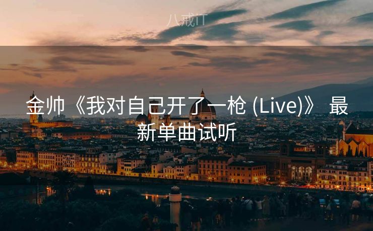 金帅《我对自己开了一枪 (Live)》 最新单曲试听