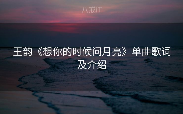 王韵《想你的时候问月亮》单曲歌词及介绍