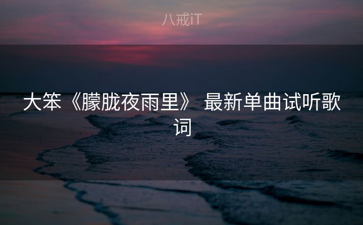 大笨《朦胧夜雨里》 最新单曲试听歌词