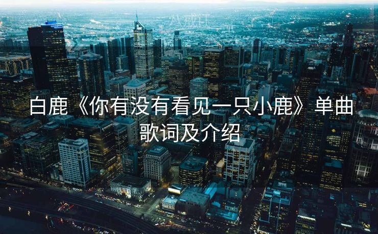 白鹿《你有没有看见一只小鹿》单曲歌词及介绍