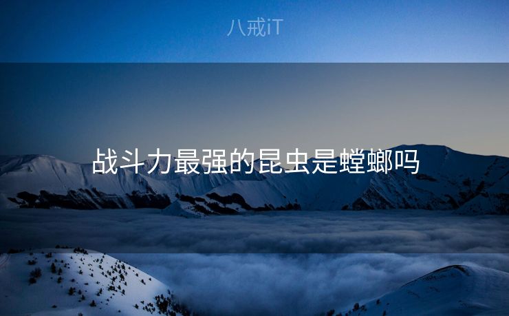 战斗力最强的昆虫是螳螂吗