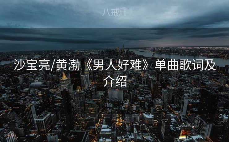 沙宝亮/黄渤《男人好难》单曲歌词及介绍