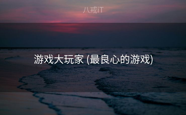 游戏大玩家 (最良心的游戏)