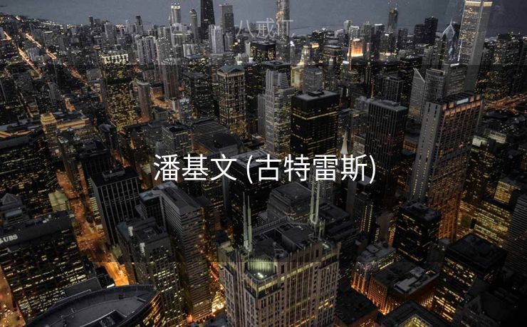 潘基文 (古特雷斯)