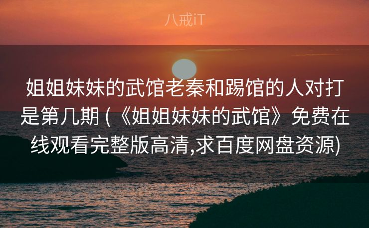 姐姐妹妹的武馆老秦和踢馆的人对打是第几期 (《姐姐妹妹的武馆》免费在线观看完整版高清,求百度网盘资源)