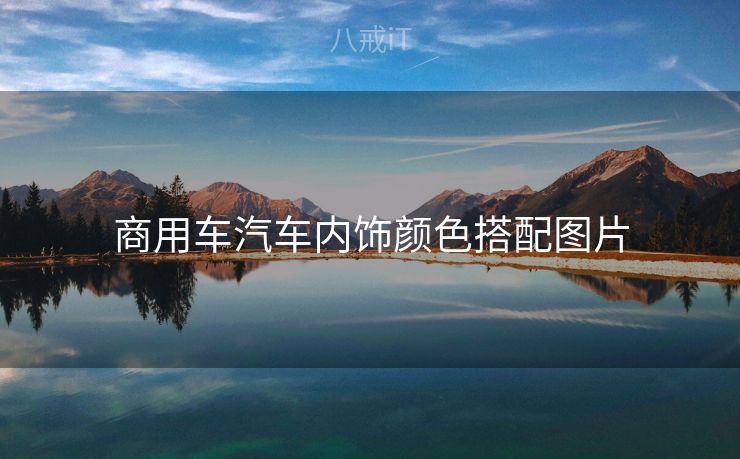 商用车汽车内饰颜色搭配图片