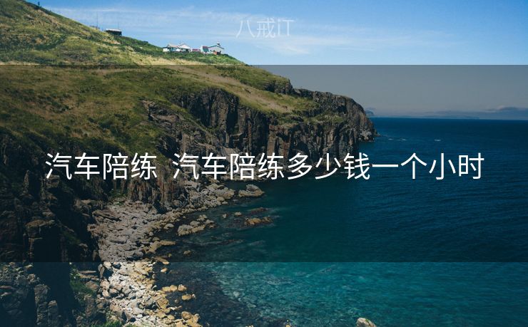 汽车陪练  汽车陪练多少钱一个小时
