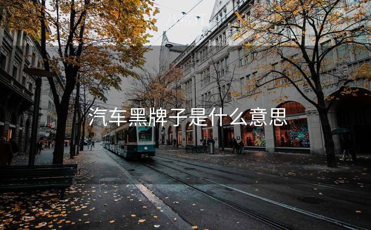  汽车黑牌子是什么意思