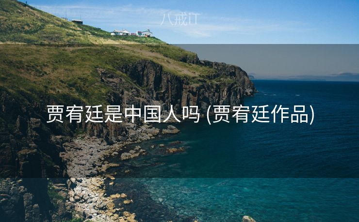 贾宥廷是中国人吗 (贾宥廷作品)