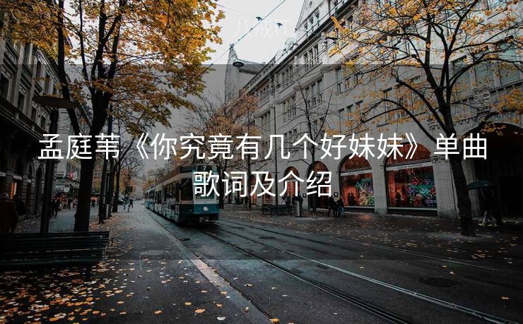 孟庭苇《你究竟有几个好妹妹》单曲歌词及介绍