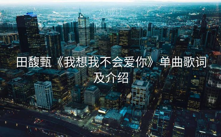 田馥甄《我想我不会爱你》单曲歌词及介绍