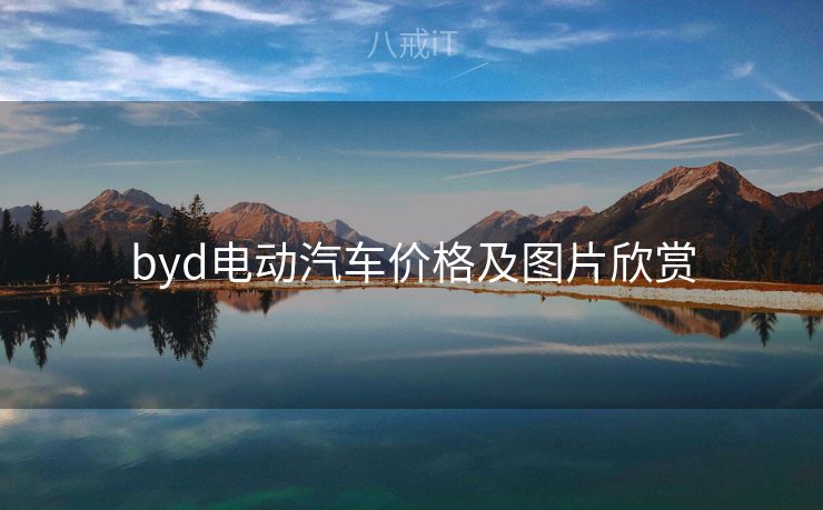 byd电动汽车价格及图片欣赏