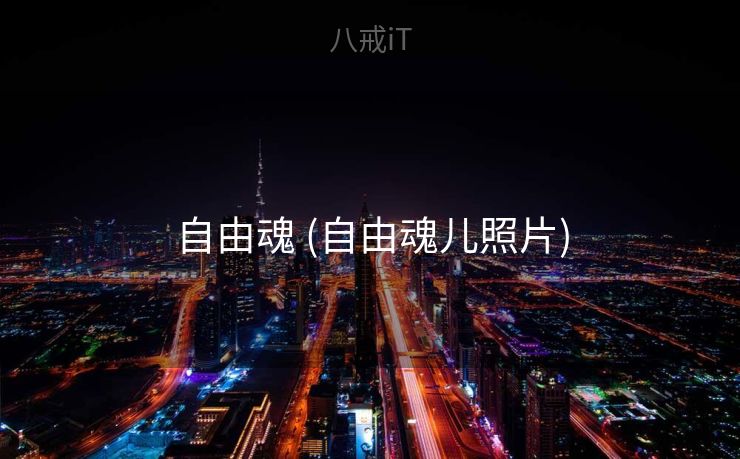 自由魂 (自由魂儿照片)
