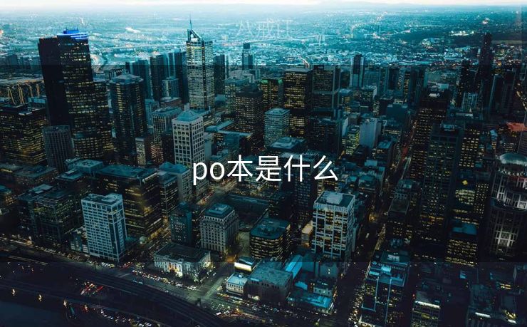 po本是什么