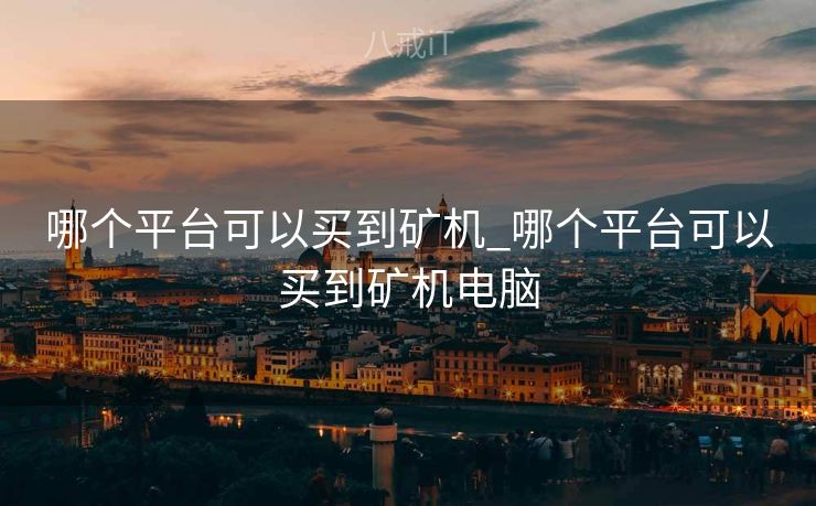 哪个平台可以买到矿机_哪个平台可以买到矿机电脑