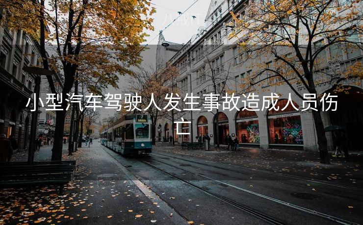 小型汽车驾驶人发生事故造成人员伤亡