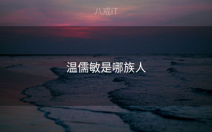 温儒敏是哪族人