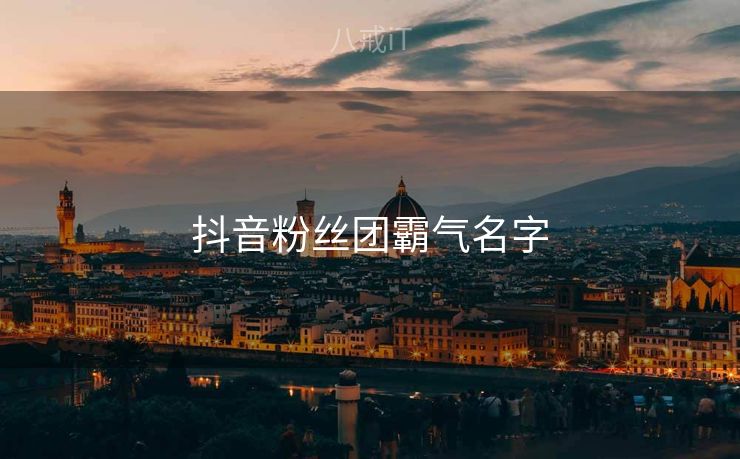抖音粉丝团霸气名字