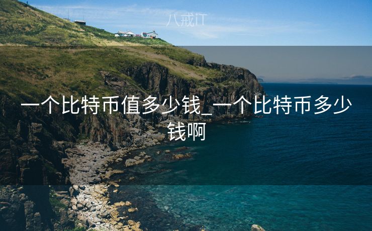 一个比特币值多少钱_一个比特币多少钱啊