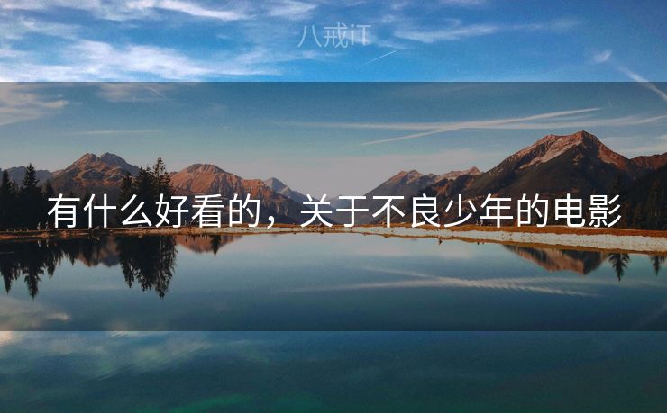 有什么好看的，关于不良少年的电影