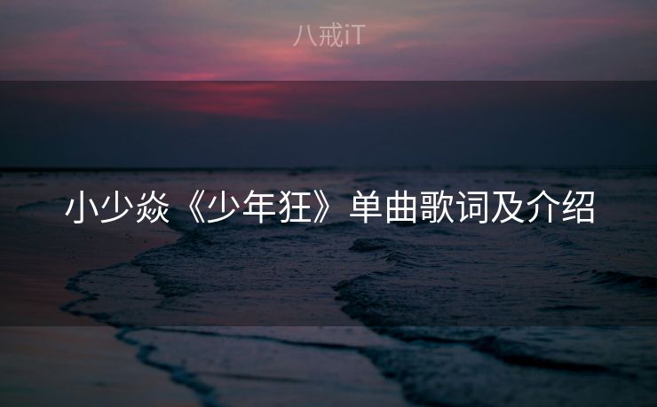 小少焱《少年狂》单曲歌词及介绍
