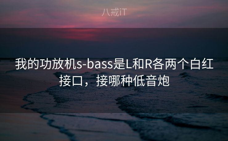我的功放机s-bass是L和R各两个白红接口，接哪种低音炮