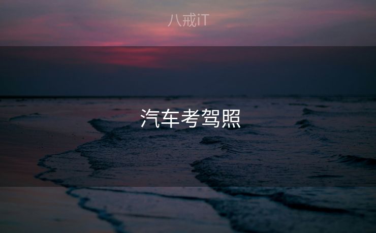  汽车考驾照