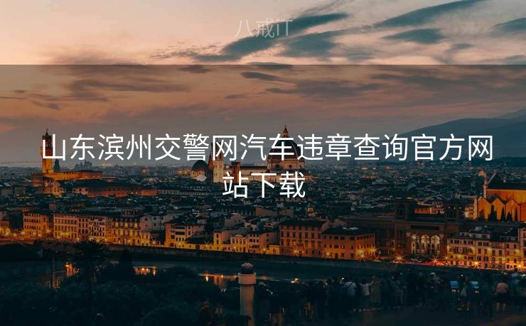  山东滨州交警网汽车违章查询官方网站下载