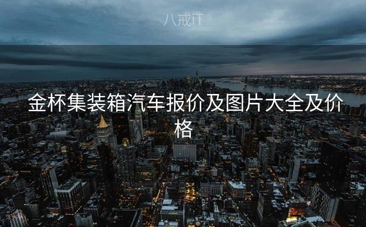  金杯集装箱汽车报价及图片大全及价格