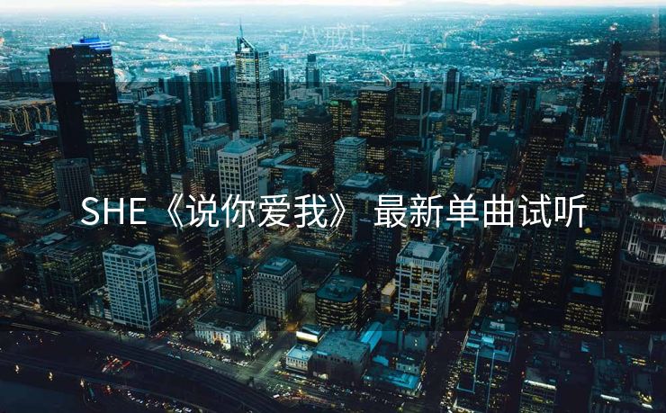 SHE《说你爱我》 最新单曲试听