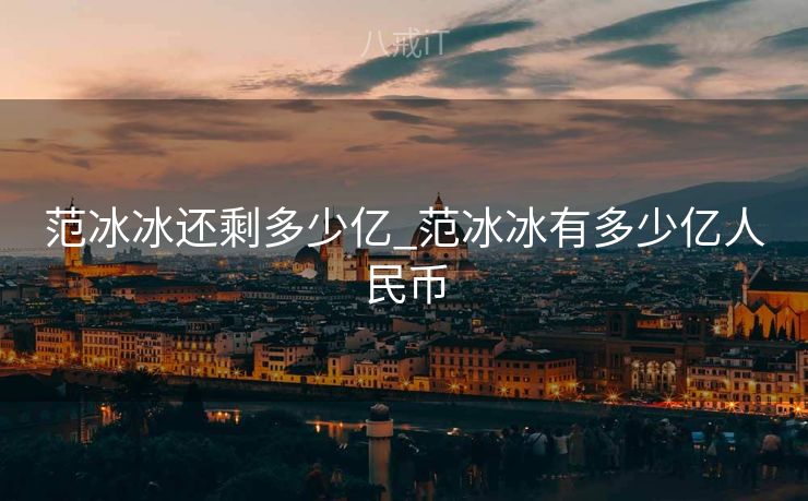 范冰冰还剩多少亿_范冰冰有多少亿人民币