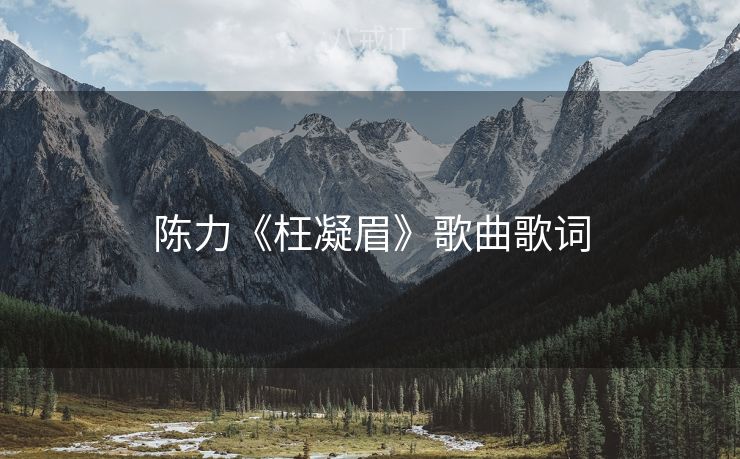 陈力《枉凝眉》歌曲歌词