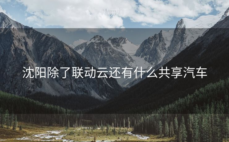 沈阳除了联动云还有什么共享汽车