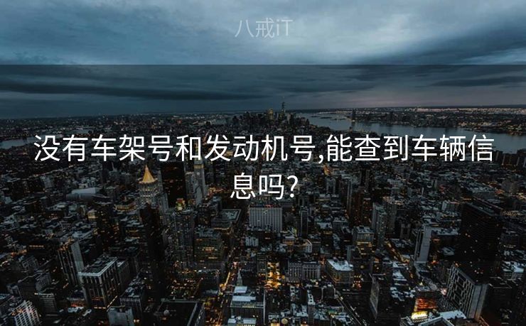 没有车架号和发动机号,能查到车辆信息吗?